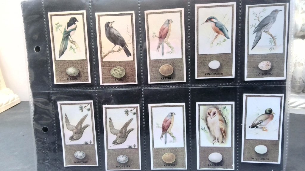 Godfrey Phillips British Birds Cigarette Cards (1 of 8)