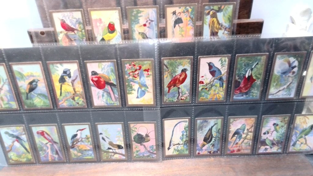 Vtg Feathered Friends Bird Trade Cards: Vtg Feathered Friends Trade Cards, Series Of 25, Issued By Abdulla & Co Ltd, In Protective Sleeves.