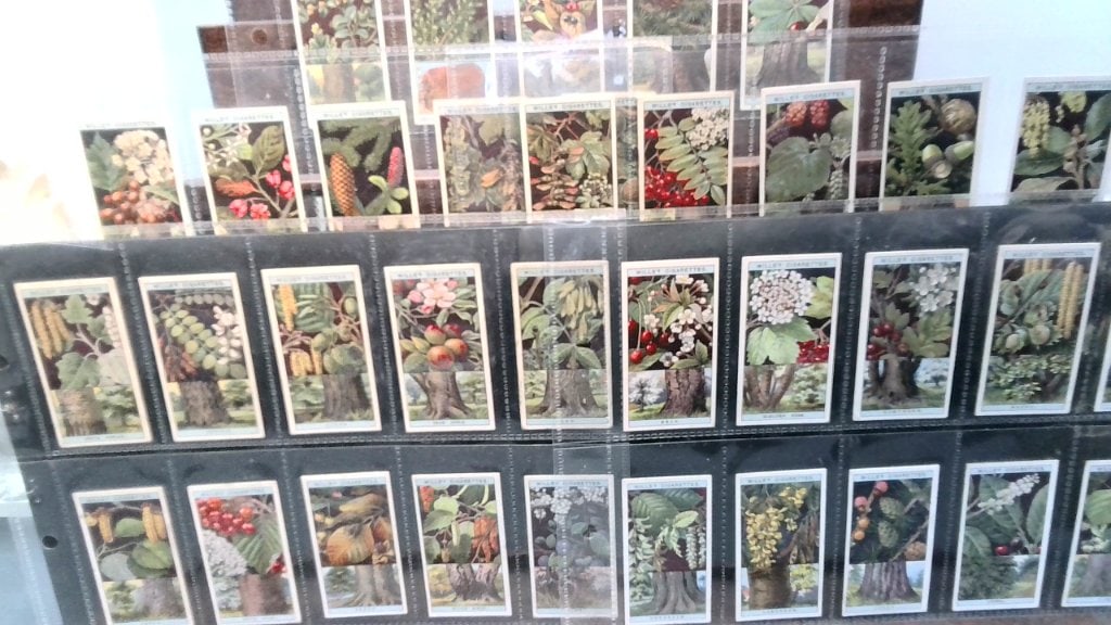 Vtg Wills's Flowering Trees Trade Cards (1 of 5)
