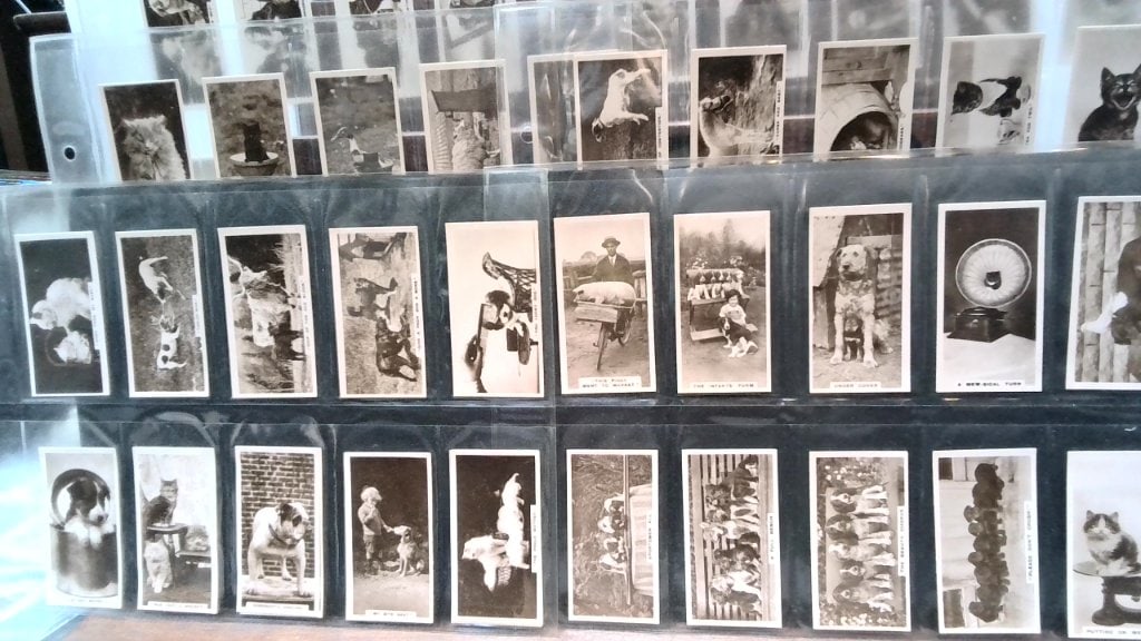 De Reszke Cigarettes Animal Trade Cards Set (1 of 4)