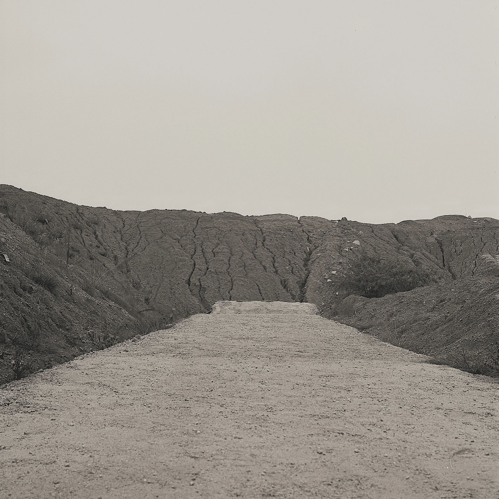 Primal Chaos #5: Creation Date: 2015 Medium: Platinum print on French fine art paper Edition: 1/20 Mounting: 40 x 40 cm aluminum frame, 2mm acid-free mat + moisture-proof backing Signature: Signed by the artist The Pr