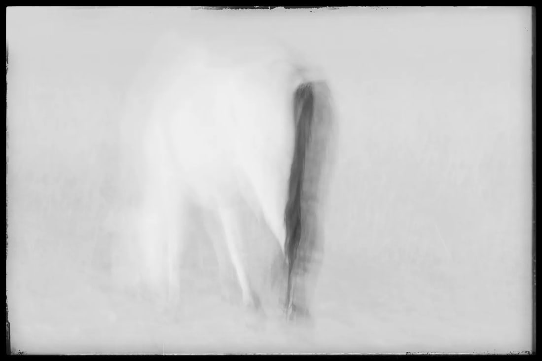Horse Whisperer: Print Date: 2026 Location: Xilinhot, Inner Mongolia Medium: Hahnemuhle Baryta paper Technique: Digital giclee print Edition: 1/20 Framing: Acrylic frame Signature: Signed by the artist The work was
