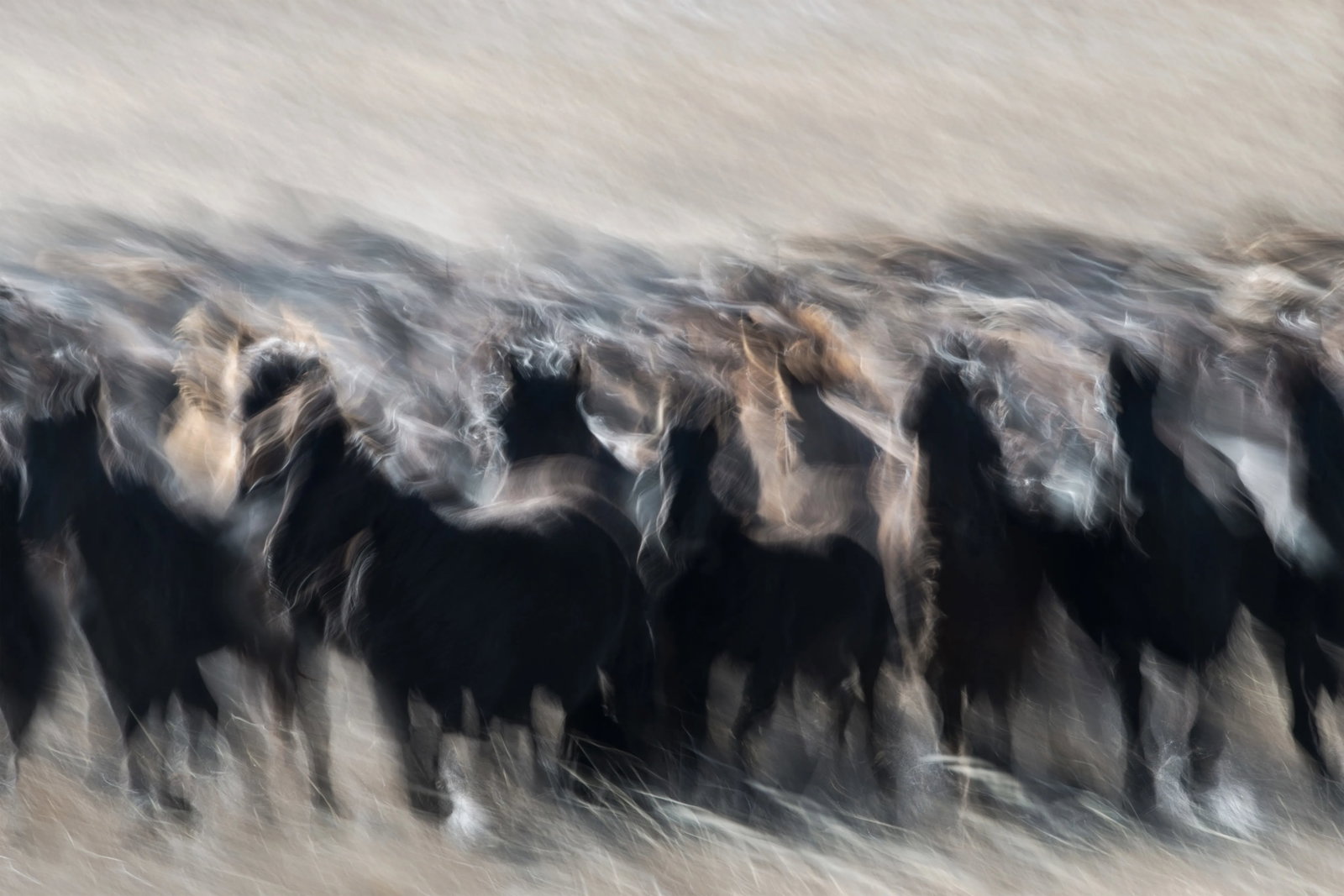 Song of the Strong Wind: Location: Inner Mongolia Medium: Hahnemuhle Photo Rag Ultra Smooth 305g Edition: 7/15 Framing: Aluminum alloy frame Exhibition History: Exhibited at Beijing International Photography Week 2025 The