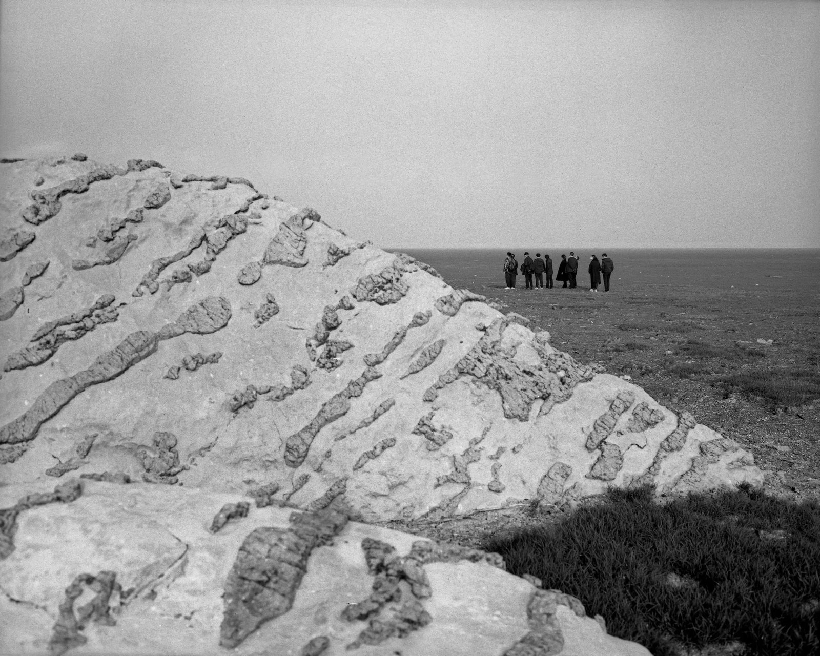 Visitors on Shoeshan Island: Location: Hukou area, Poyang Lake Medium: Laser silver gelatin print Edition: 1/6 Signature: Signed by the artist Visitors on Shoeshan Island is part of Cheng Si's long-term Poyang Lake project,