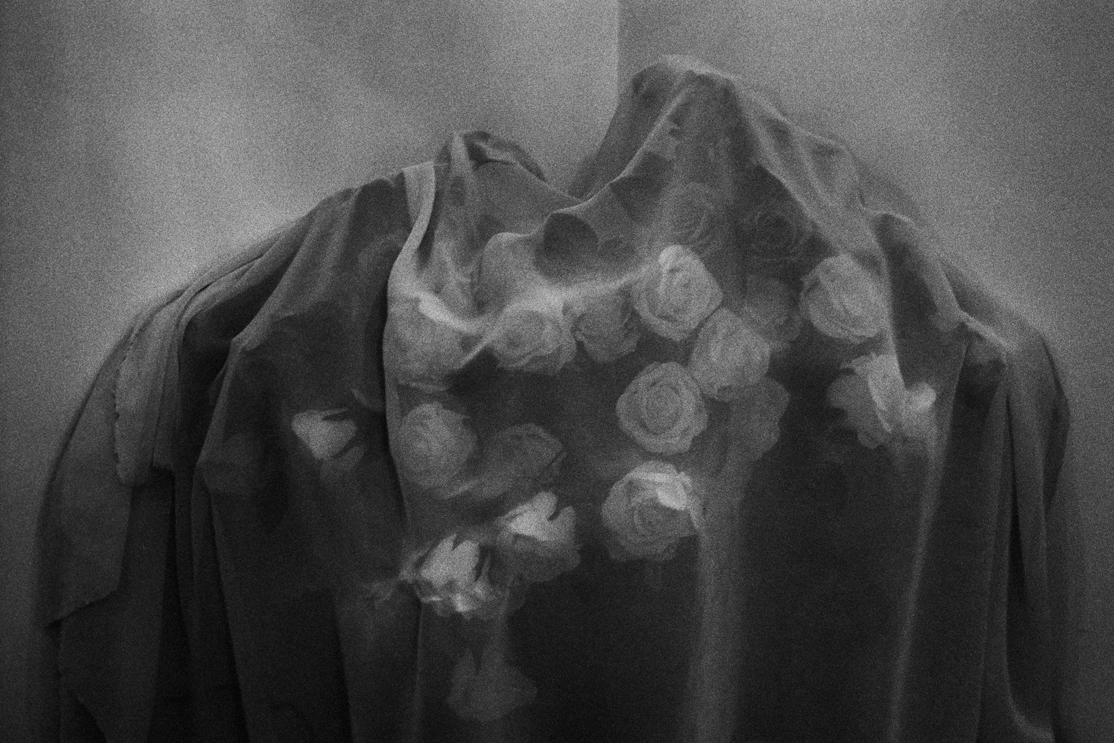 Under Wraps: Print Date: 2026 Medium: Gelatin silver print Edition: 1/5 Signature: Signed by the artist Under Wraps was photographed in the first half of 2020, when the artist was confined at home for an extended