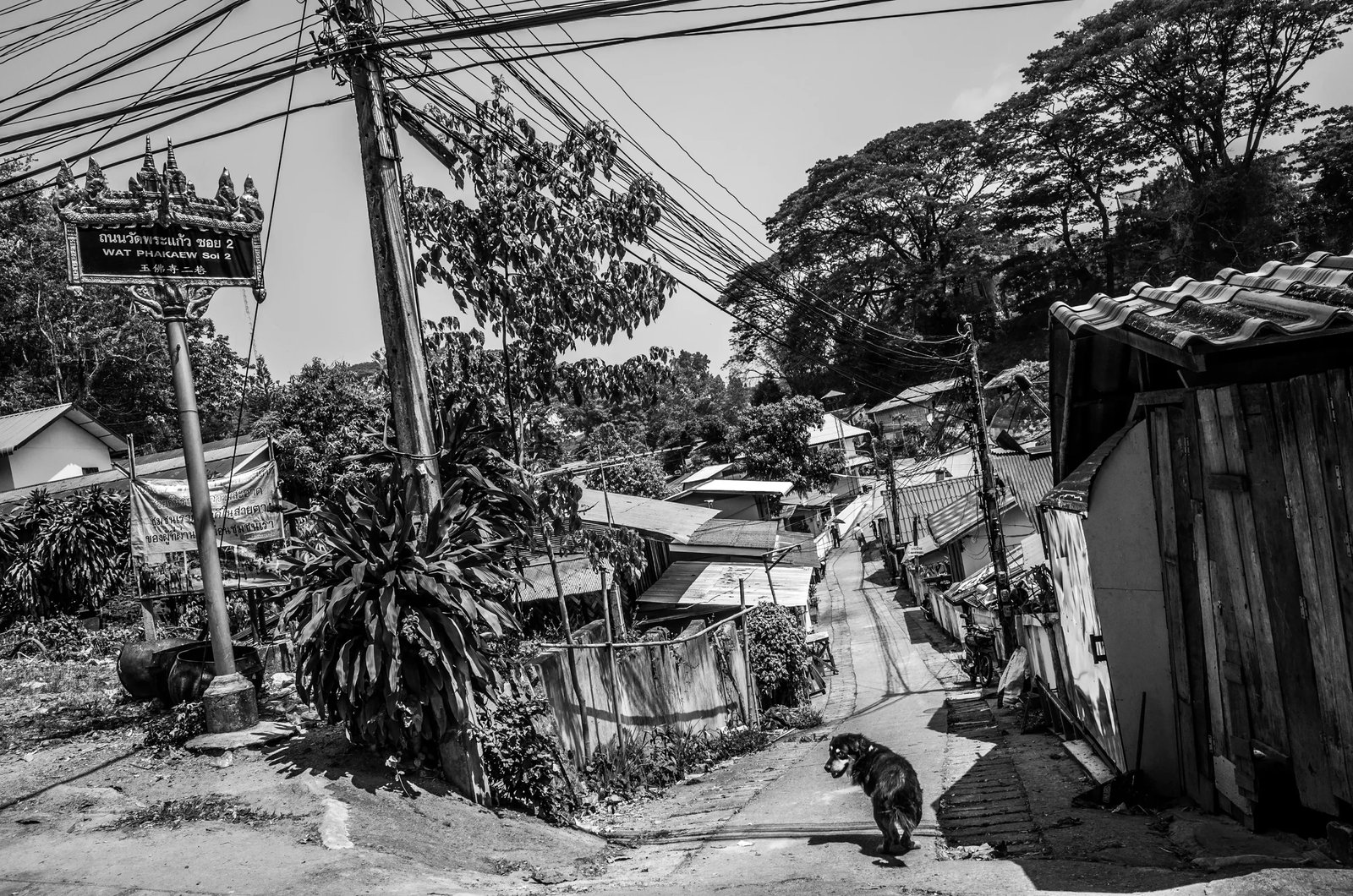 Mekong Series: Medium: Archival pigment print Edition: 1/3 Signature: Signed by the artist Mekong Series is one of Yang Da's important early long-term projects. Following the Mekong River across six countries and