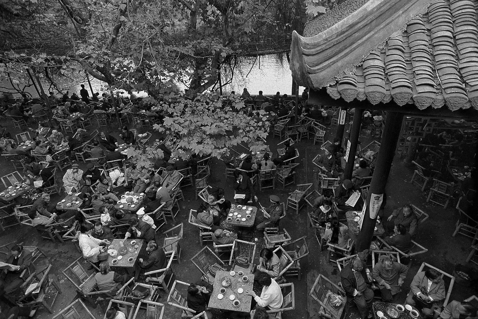 Heming Teahouse: Location: People's Park, Chengdu Medium: Archival digital giclee print Edition: 11/20 Heming Teahouse was photographed in People's Park, Chengdu, using an overlooking perspective to present the