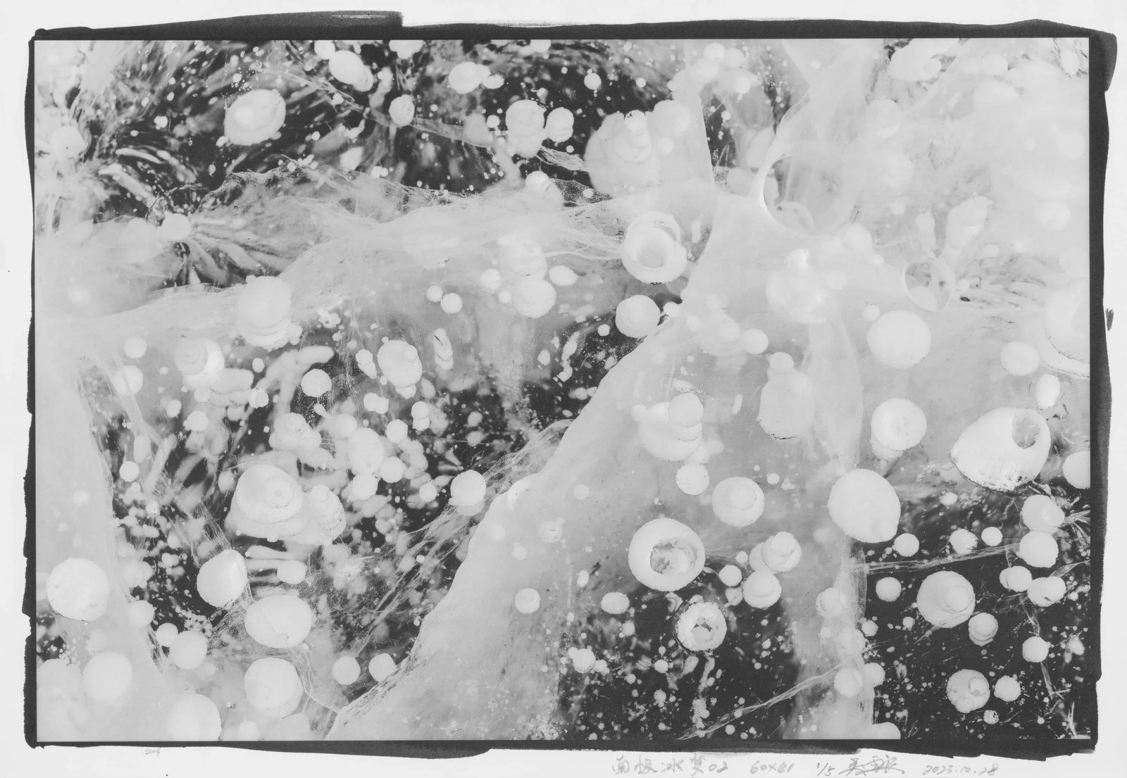 Antarctic Ice Dream No. 02: Print Date: 2023 Medium: Platinum print on acid-free watercolor paper Edition: 1/5 Framing: Transparent acrylic display case Signature: Signed by the artist These two works both belong to Wu