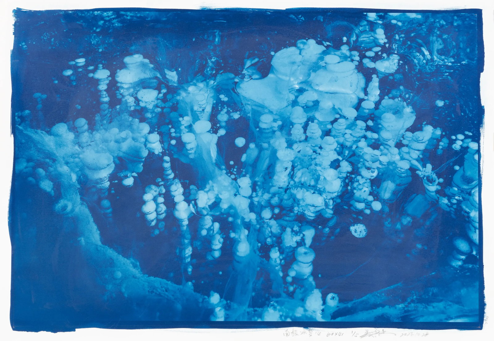 Antarctic Ice Dream No. 14: Print Date: 2023 Medium: Cyanotype on acid-free watercolor paper Edition: 1/5 Framing: Transparent acrylic display case Signature: Signed by the artist These two works both belong to Wu Xueliang's