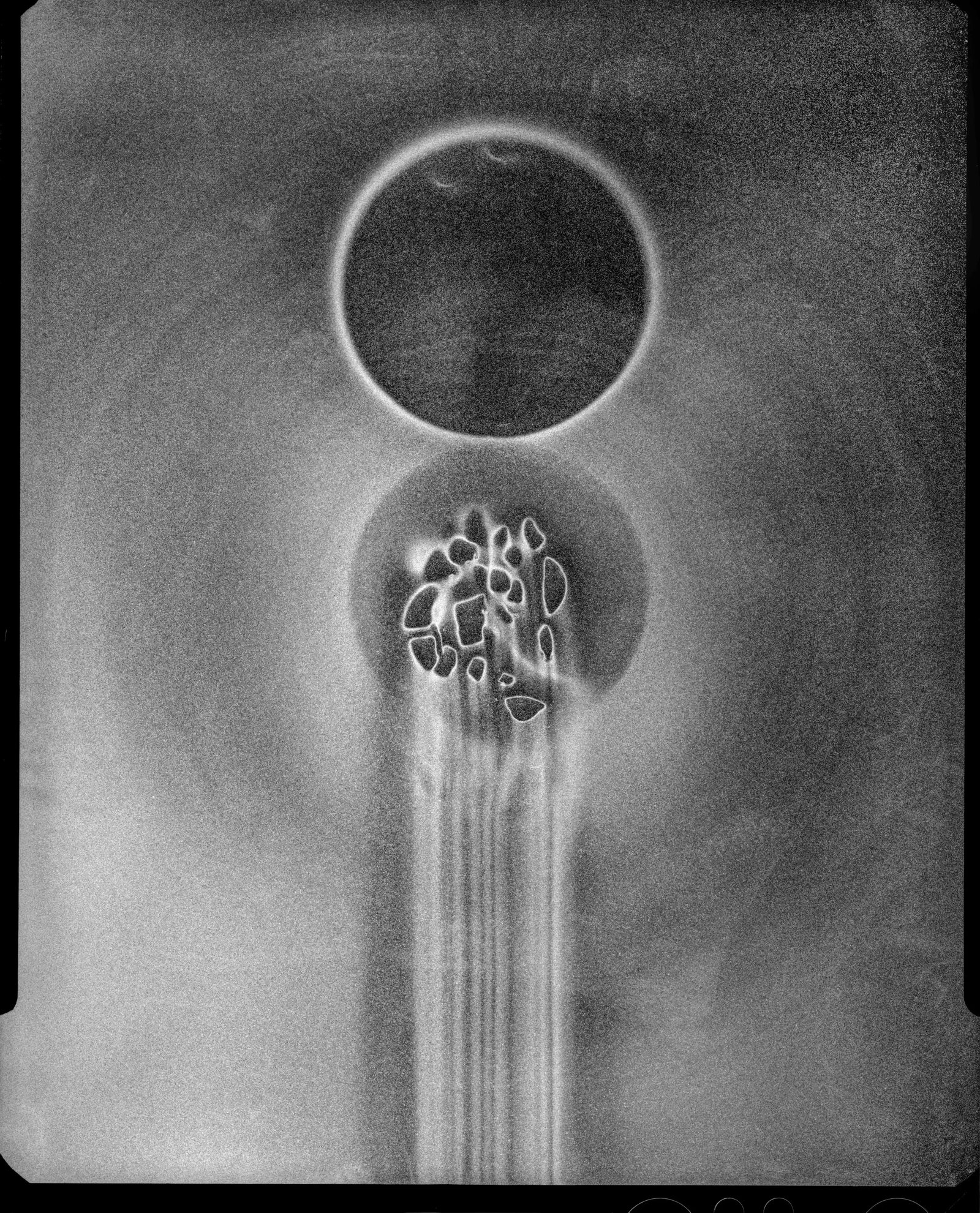 Roche Sacrifice: Print Date: 2026 Medium: Hand-made silver gelatin print by the artist Camera Format: Photographed with an 4x5(45)large-format camera Edition: 1/8+2AP Framing: Acid-free mounting, with low-reflection