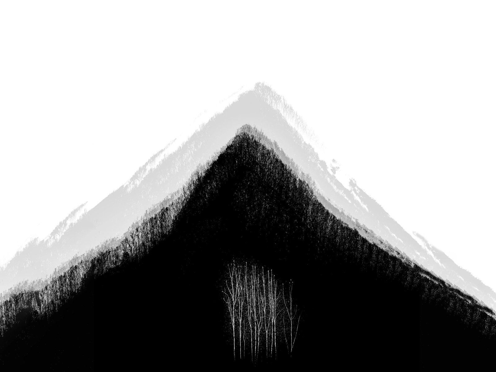 Ink Shadow: Print Date: 2026 Medium: Giclee print (Hahnemuhle 310gsm, 100% cotton, acid-free baryta paper) Edition: 1/3 Framing: High-clarity acrylic face-mount (sandwich mounting) with metal frame Signature: