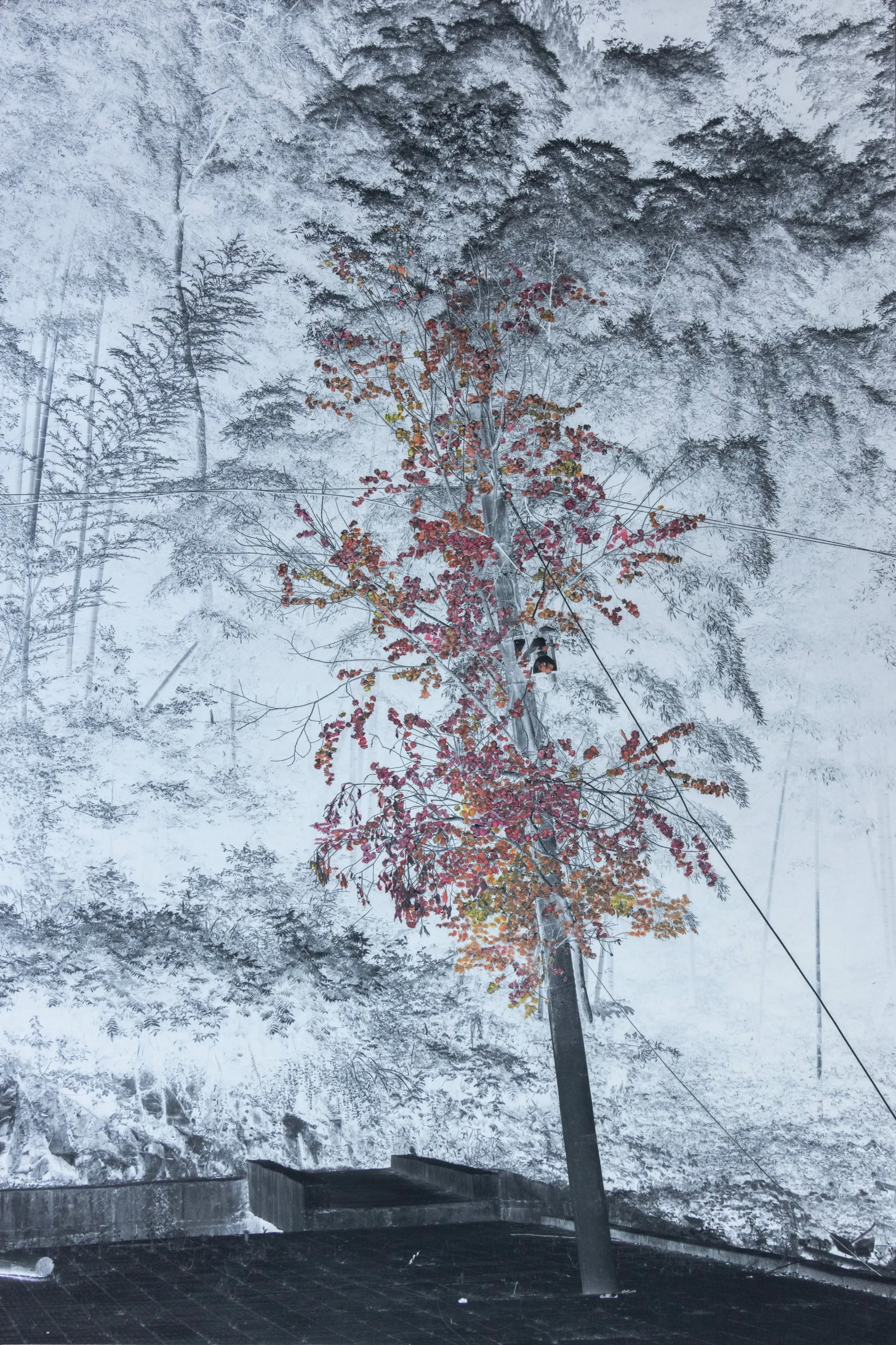 Jiangnan Reverie: Homeland Mountain: Print Date: 2025 Medium: Cotton fine art paper, archival giclee print, hand-coloring with mixed media Edition: Unique Framing: Museum-quality mounting Signature: Signed by the artist Through
