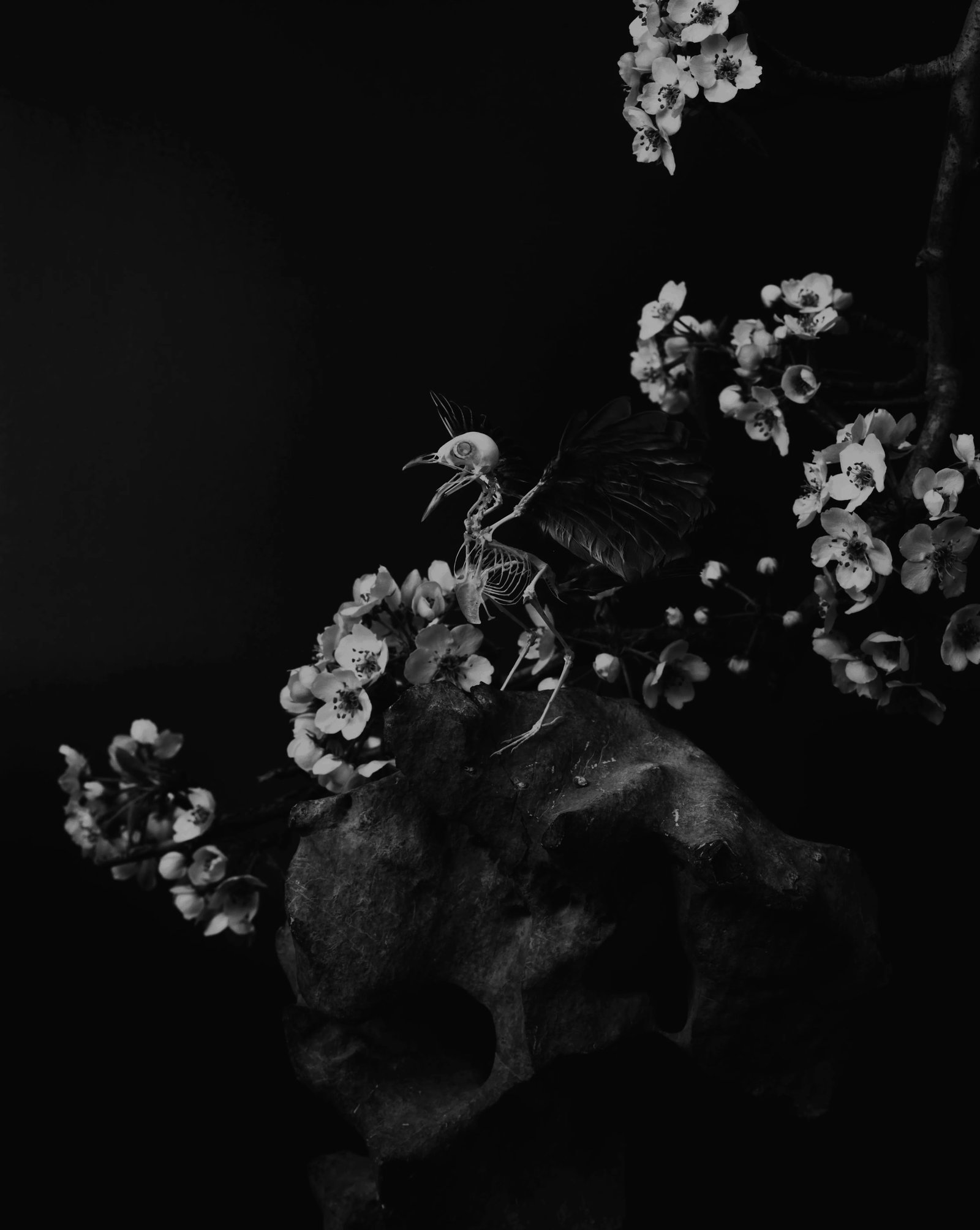 Lie (1 of 1)