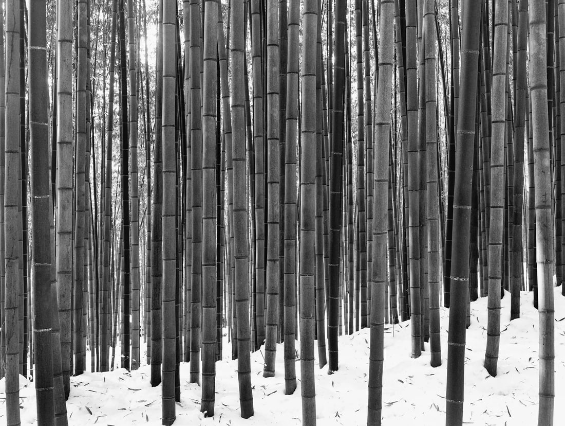 Winter Light: Medium: Gelatin silver print Edition: 2/12 Framing: Museum-quality framing with anti-reflective glass Signature: Signed by the artist Winter Light and General Guan both belong to DaeSoo Kim's