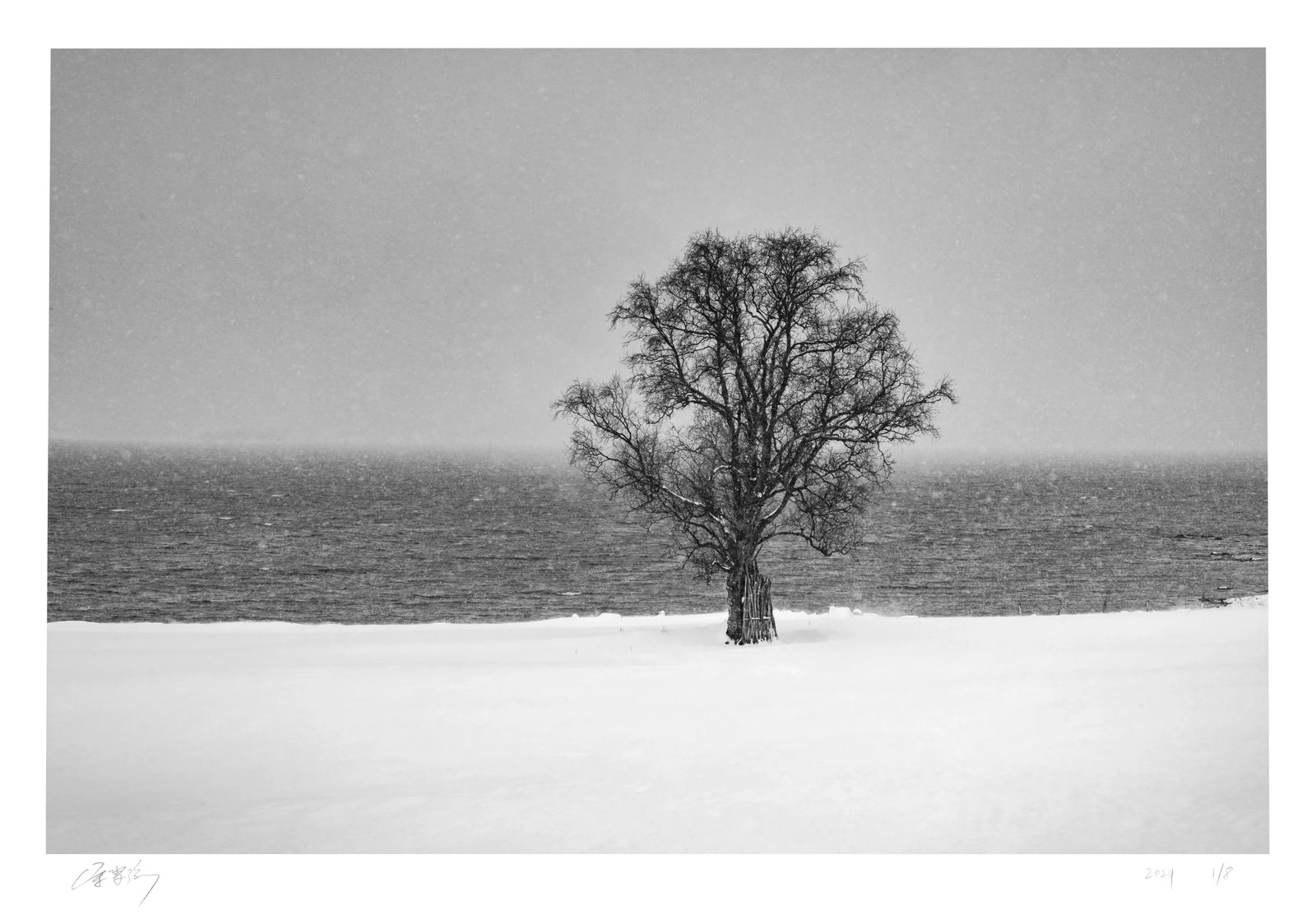 Between Wind and Snow: Medium: Digital giclee print Edition: 1/8 Signature: Signed by the artist Between Wind and Snow presents a solitary tree standing between the snowfield and the shoreline through a highly reduced compo