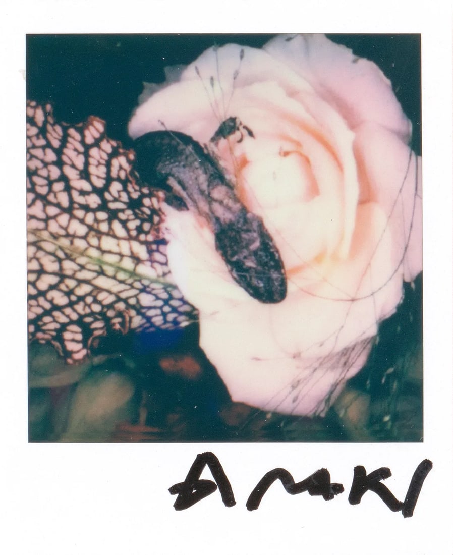 Flowers: Medium: Polaroid Edition: Unique Framing: Museum-quality framing with anti-reflective glass Signature: Signed by the artist The Flowers series is a major motif in Nobuyoshi Araki's flower photography 