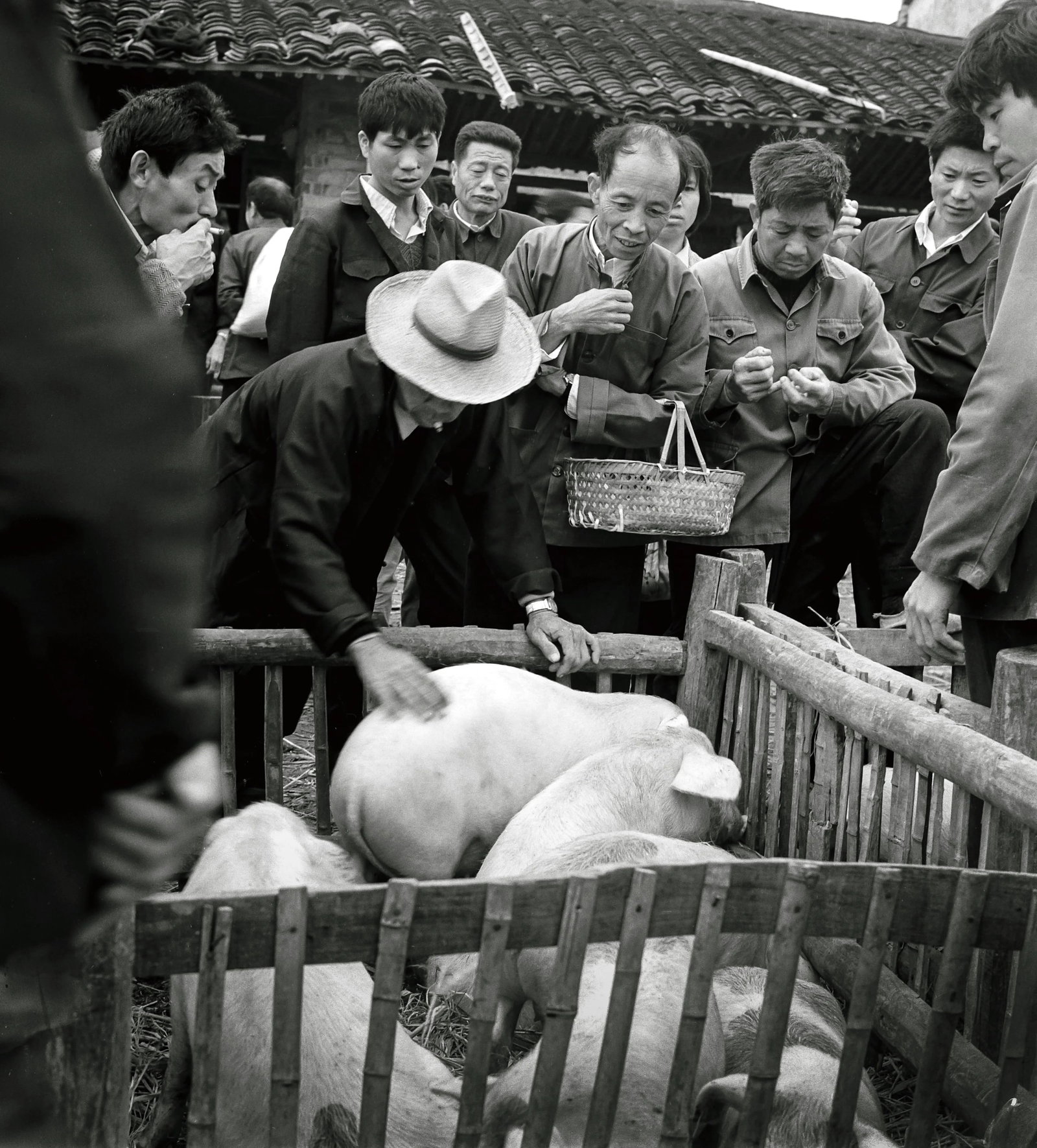 Rural Free Market (Selecting Piglets): Location: Rural Yueqing County, Zhejiang Series: Wenzhou Chronicle Medium: Digital archival giclee print Edition: 1/10 Signature: Signed by the artist Rural Free Market (Selecting Piglets) was