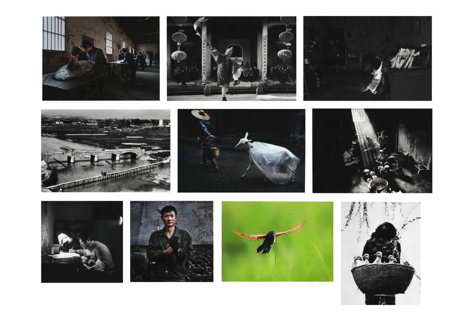 Classic Collection: Yongkang Photographers Association 30th Anniversary Zhejiang (10pcs): Print Date: 2013.12 Medium: Archival giclee print on Hahnemuhle cotton fine art paper Edition: Open edition Signature: Each print signed by the respective artist Accompanied by: A Classic Collection