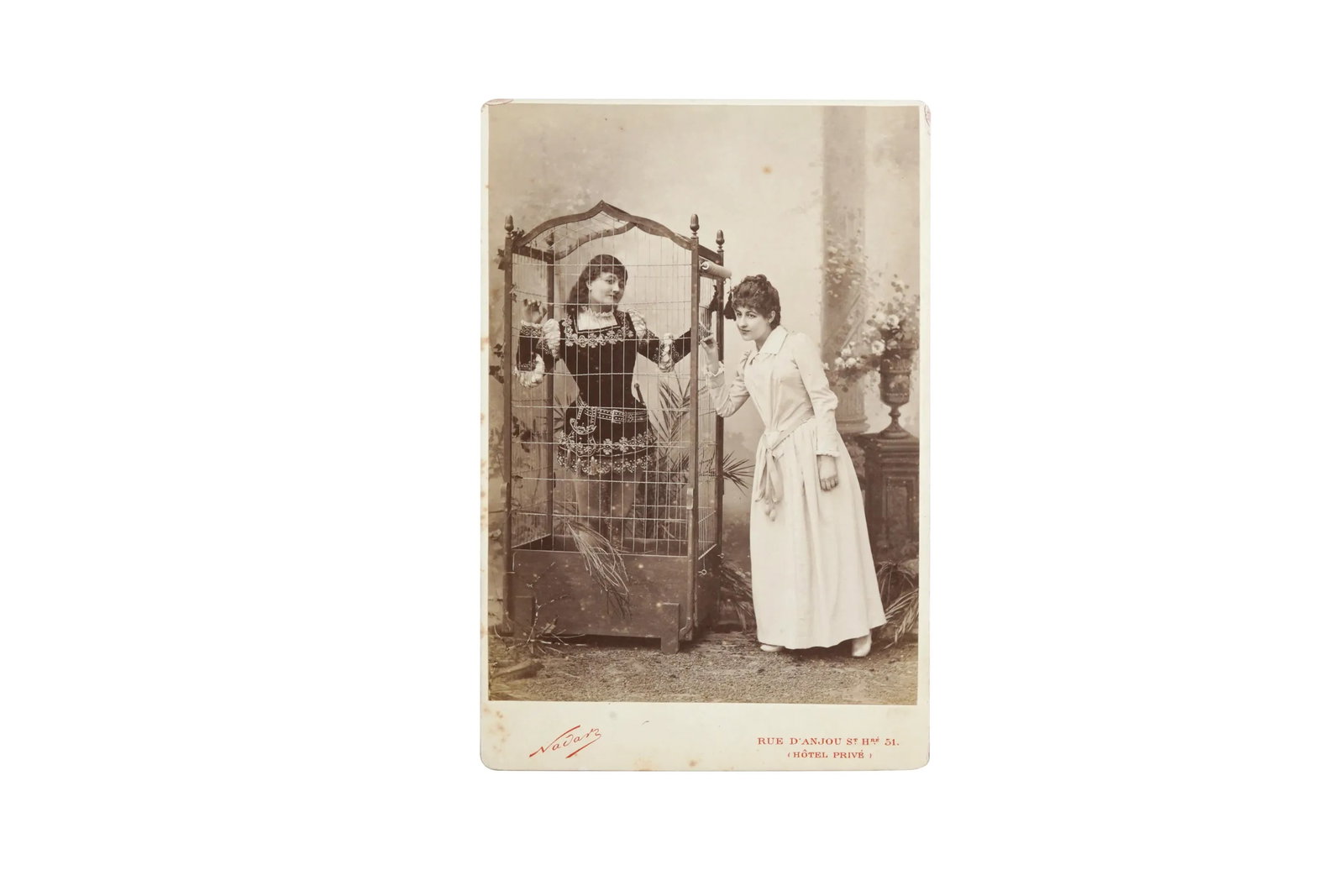 Birdcage Scene (Cabinet Card) (1 of 2)