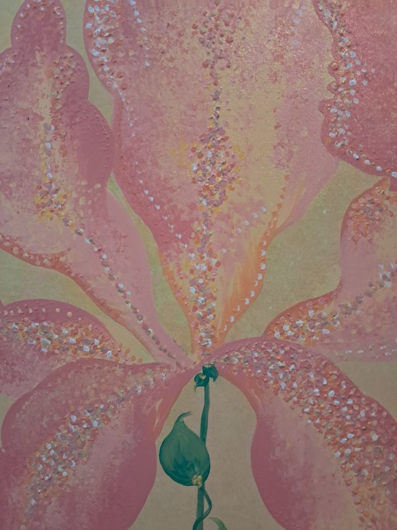 The Irish - in Pink - 7