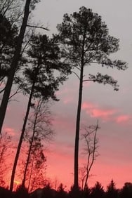 Georgia Sunrise - 3
