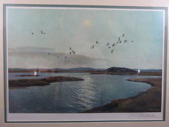 Peter Scott Framed Lithograph Snow Geese in Flight