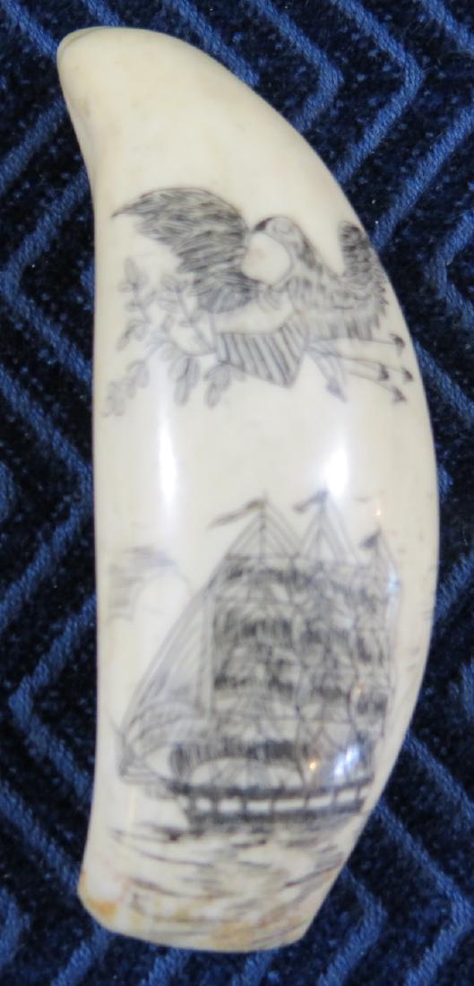 Beautiful Scrimshaw Whales Tooth: The scrimshaw artwork is contemporary, but nicely done. Patriotic themed eagle and three masted schooner. 3 1/8 inches long. This tooth is available to Massachusetts residents only, if you do not have