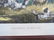 Currier and Ives Squirrel Shooting Hunting Lithograph - - 3