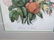 (3) Currier and Ives Lithographs Framed - 5