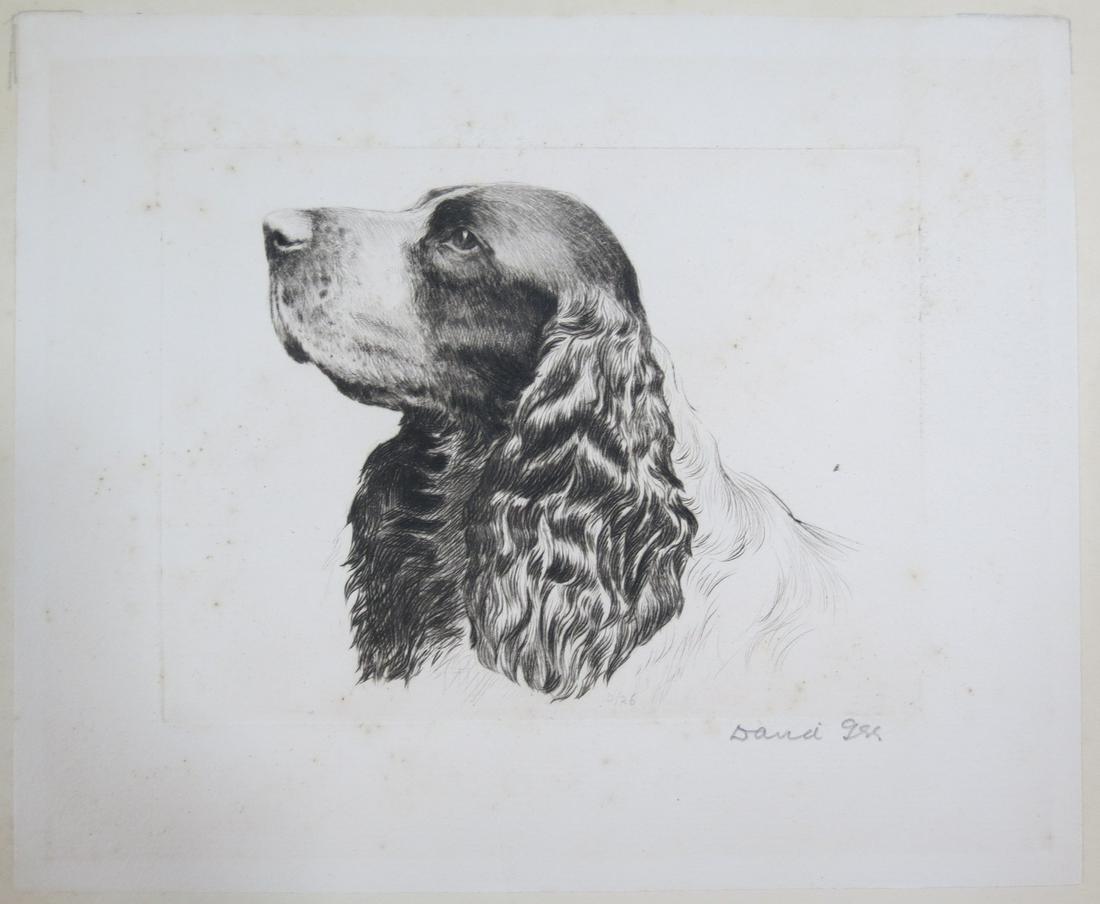 David Gee Signed Etching Cocker Spaniel (1 of 4)