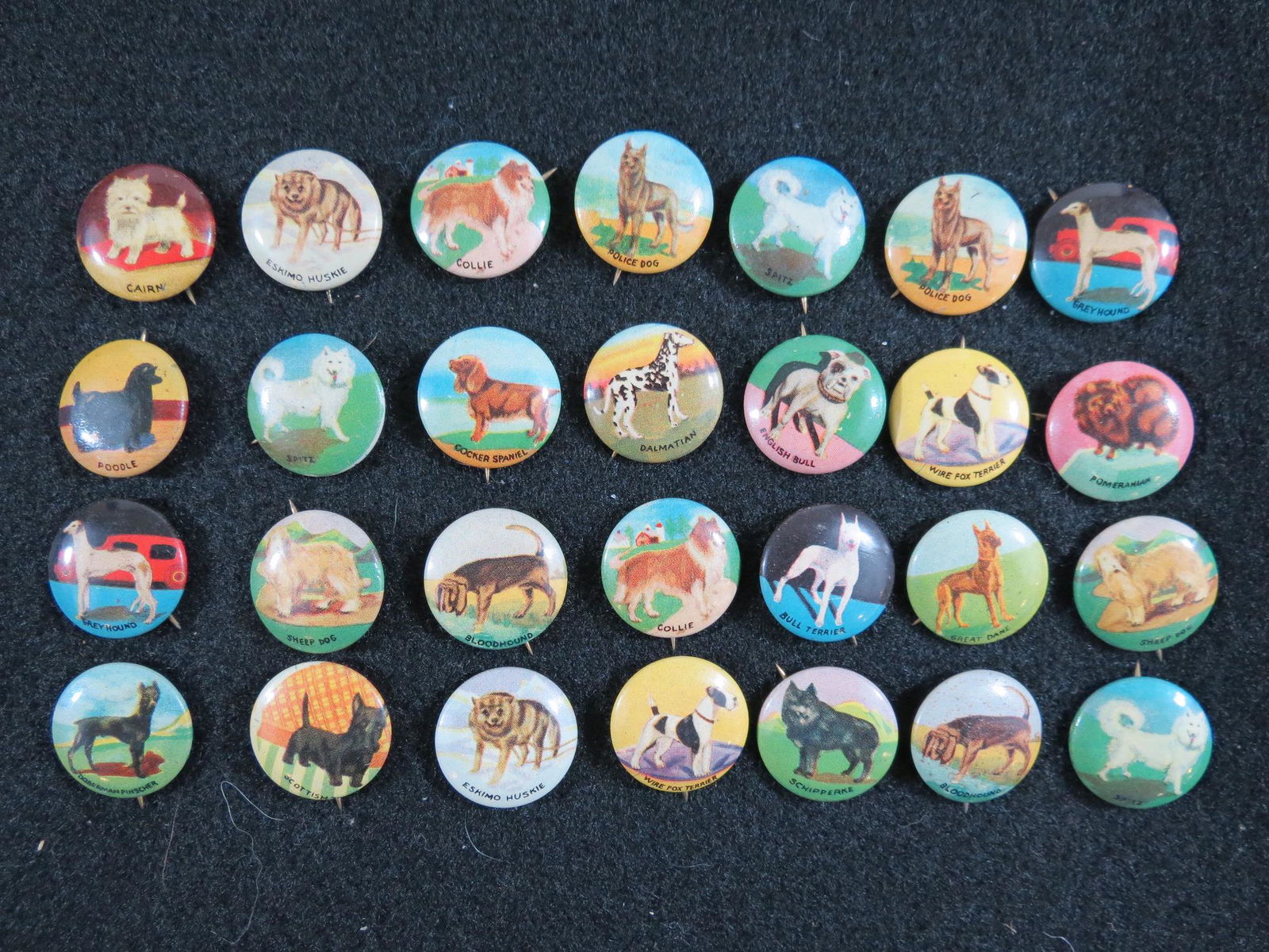 (28) 1930s Dog Breed Tin Litho Pinback Buttons (1 of 5)
