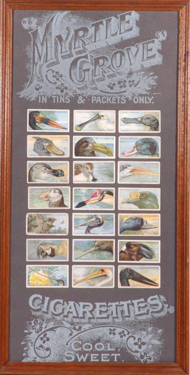 Bird Tobacco Card Advertising Display: Vintage Player Cigarette cards on Fantasy "Myrtle Grove" ad background. Framed to 11 x 23''.