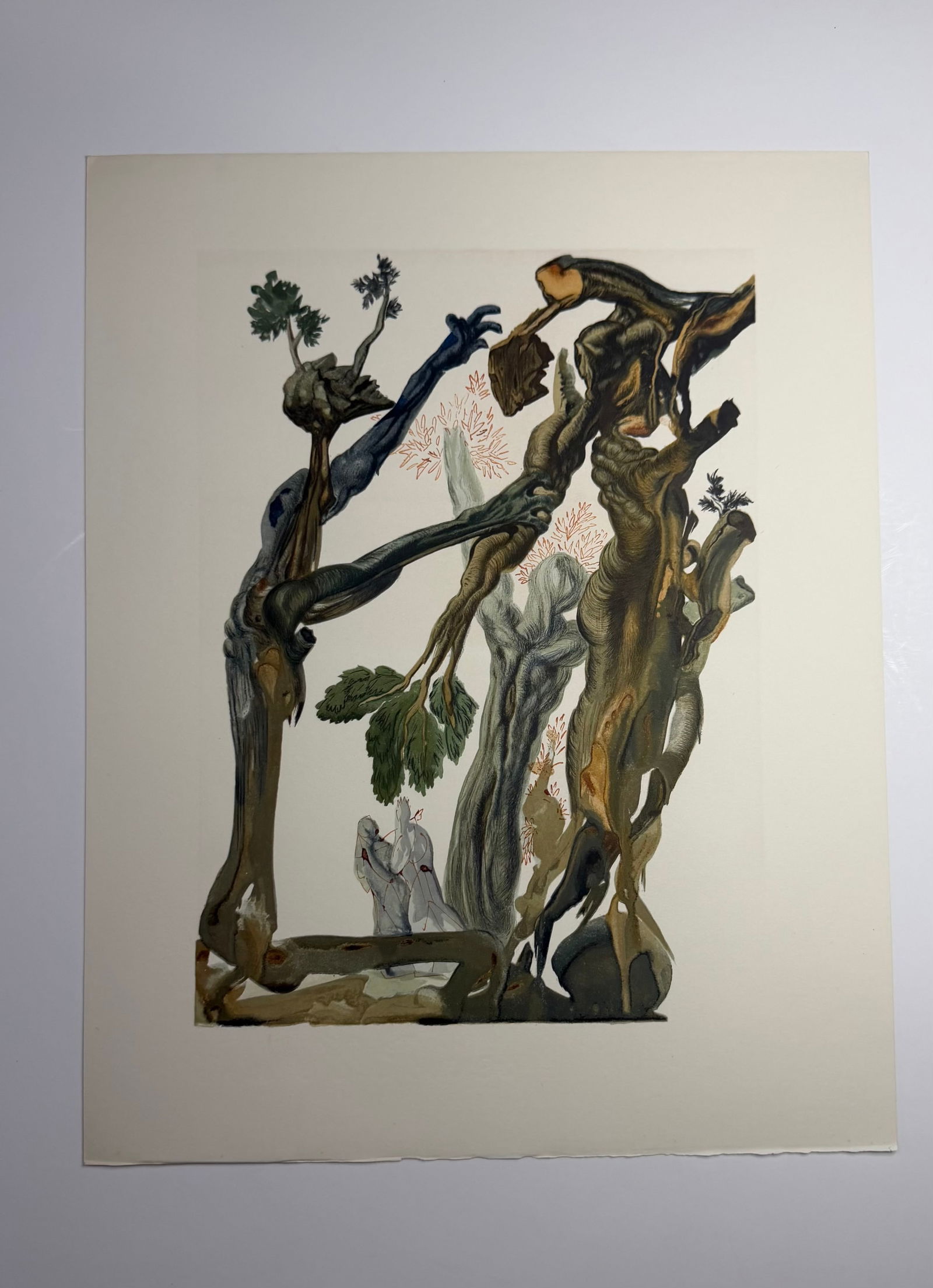 Salvador Dali's Divine Comedy - Inferno 13: Lithograph of Water colour on wood engraving on Rives vellum paper (100% cotton)