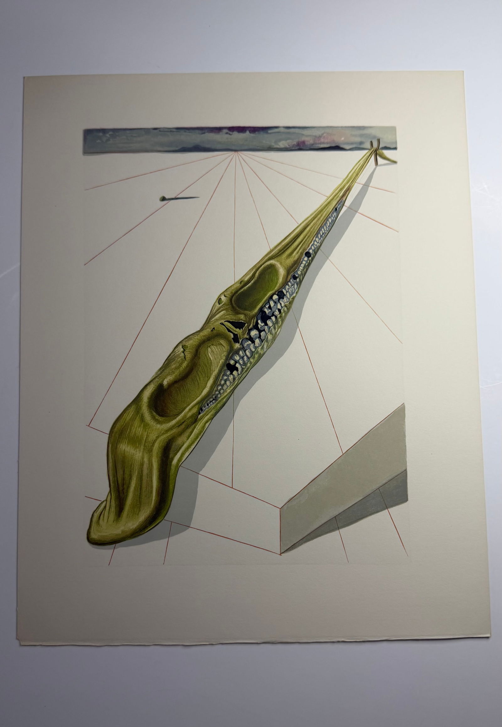 Salvador Dali's Divine Comedy - Inferno 14: Lithograph of Water colour on wood engraving on Rives vellum paper (100% cotton)