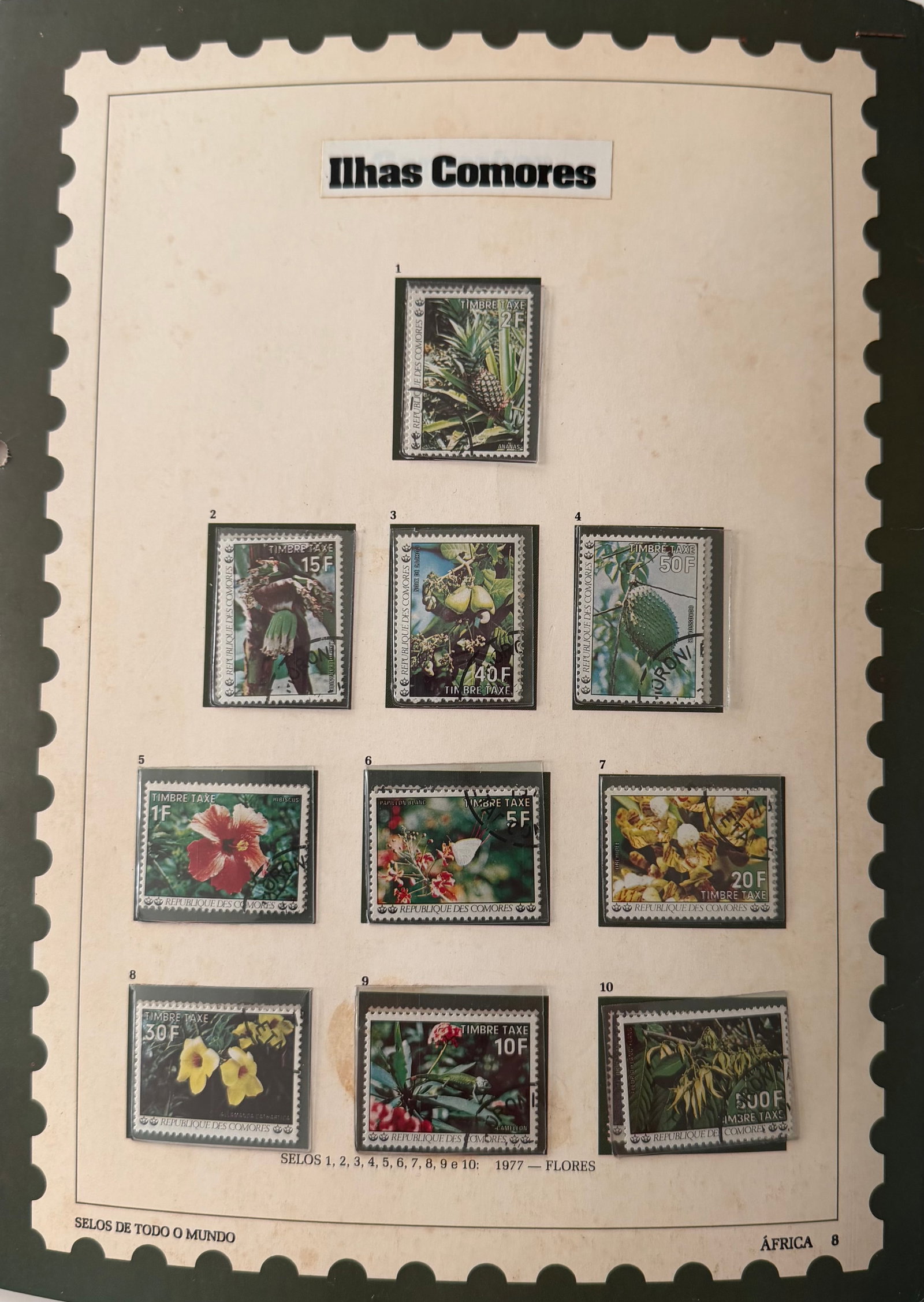 Vintage Comoros Stamp Collection; 10 Stamps Featuring Native Flora & Exotic Flowers: A beautifully cohesive collection of 10 vintage stamps from the Comoros Islands, celebrating the archipelagos lush botanical heritage. Each stamp features finely illustrated native plants, tropical fr