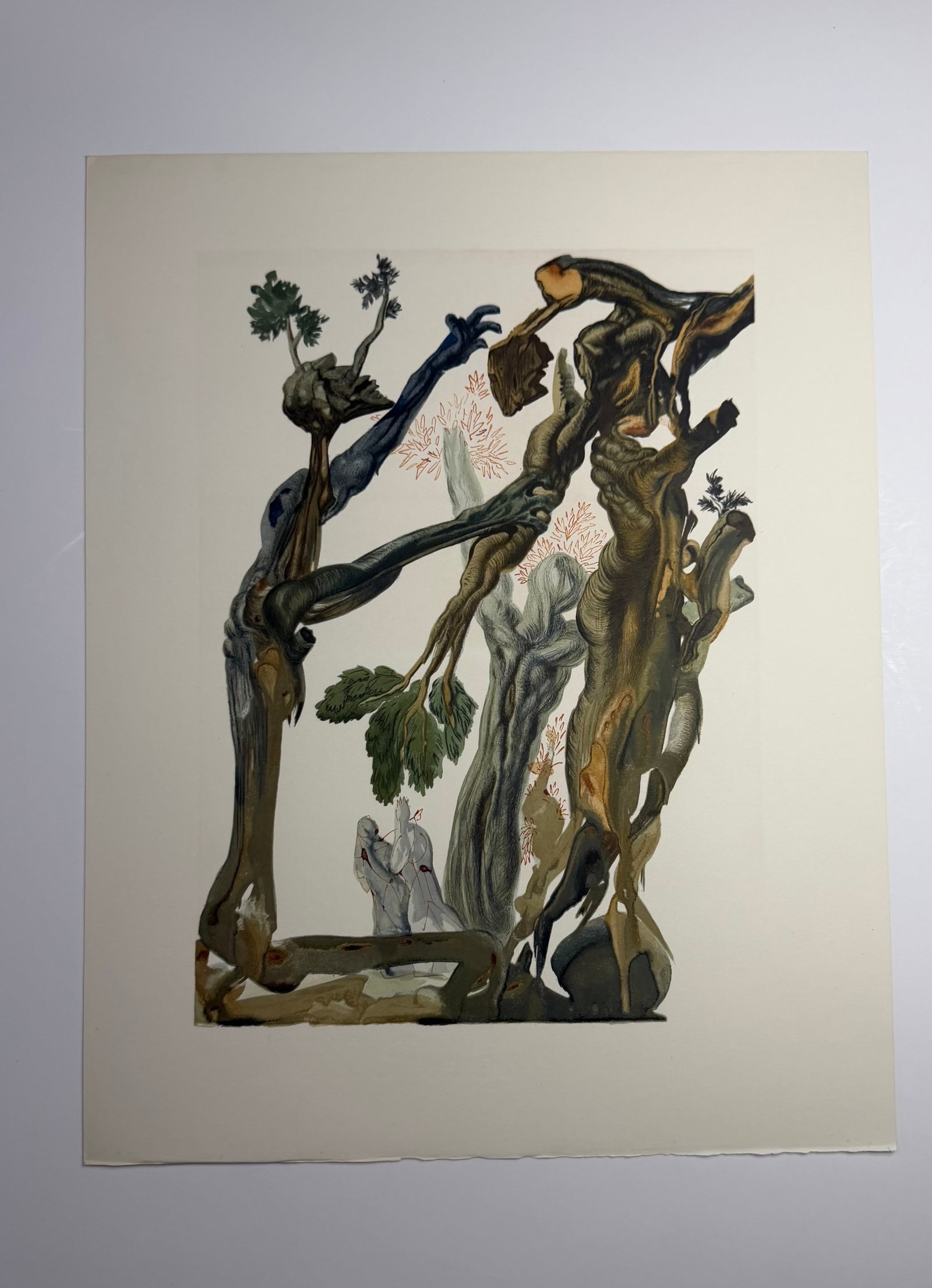 Salvador Dali's Divine Comedy - Inferno 13: Lithograph of Water colour on wood engraving on Rives vellum paper (100% cotton)