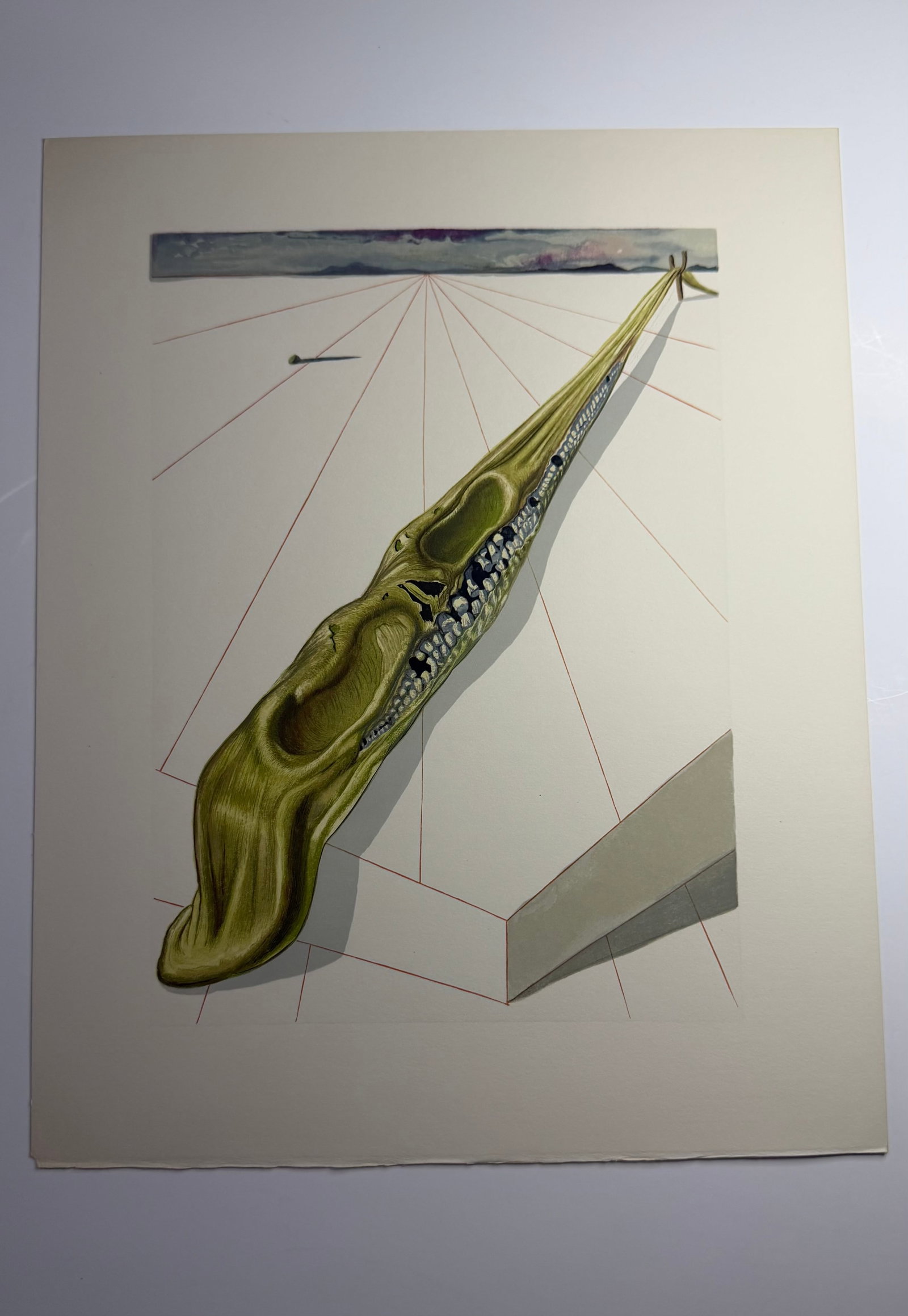 Salvador Dali's Divine Comedy - Inferno 14: Lithograph of Water colour on wood engraving on Rives vellum paper (100% cotton)