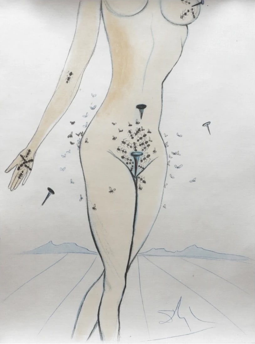 Casanova 2: It incorporates themes of decay, discomfort, and mortality, which were recurrent motifs in his work. Dali was known for using disturbing imagery, such as ants and flies, to convey deeper