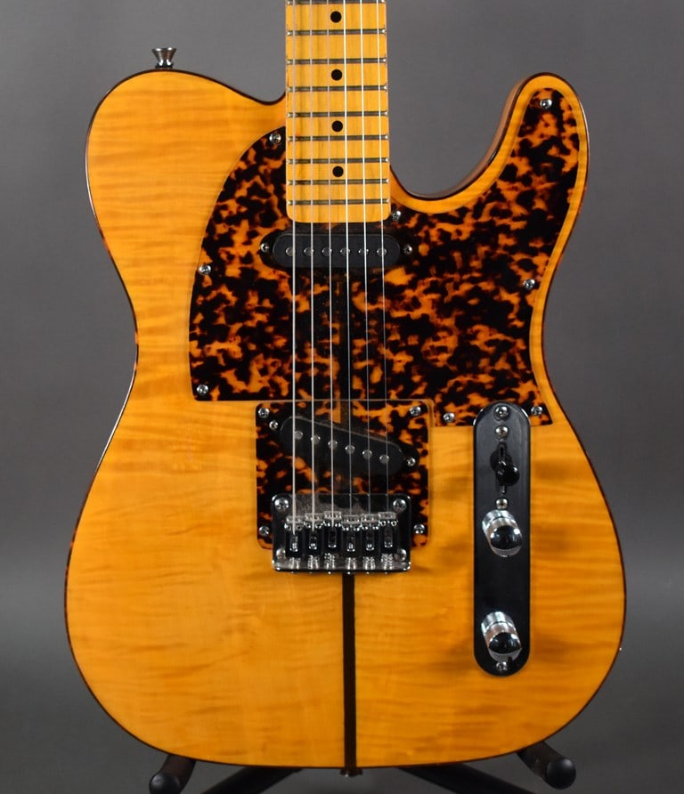 HS Andersen "Mad Cat" Reissue Guitar, Washburn Hard Case - 2