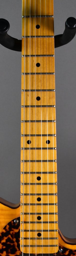 HS Andersen "Mad Cat" Reissue Guitar, Washburn Hard Case - 5