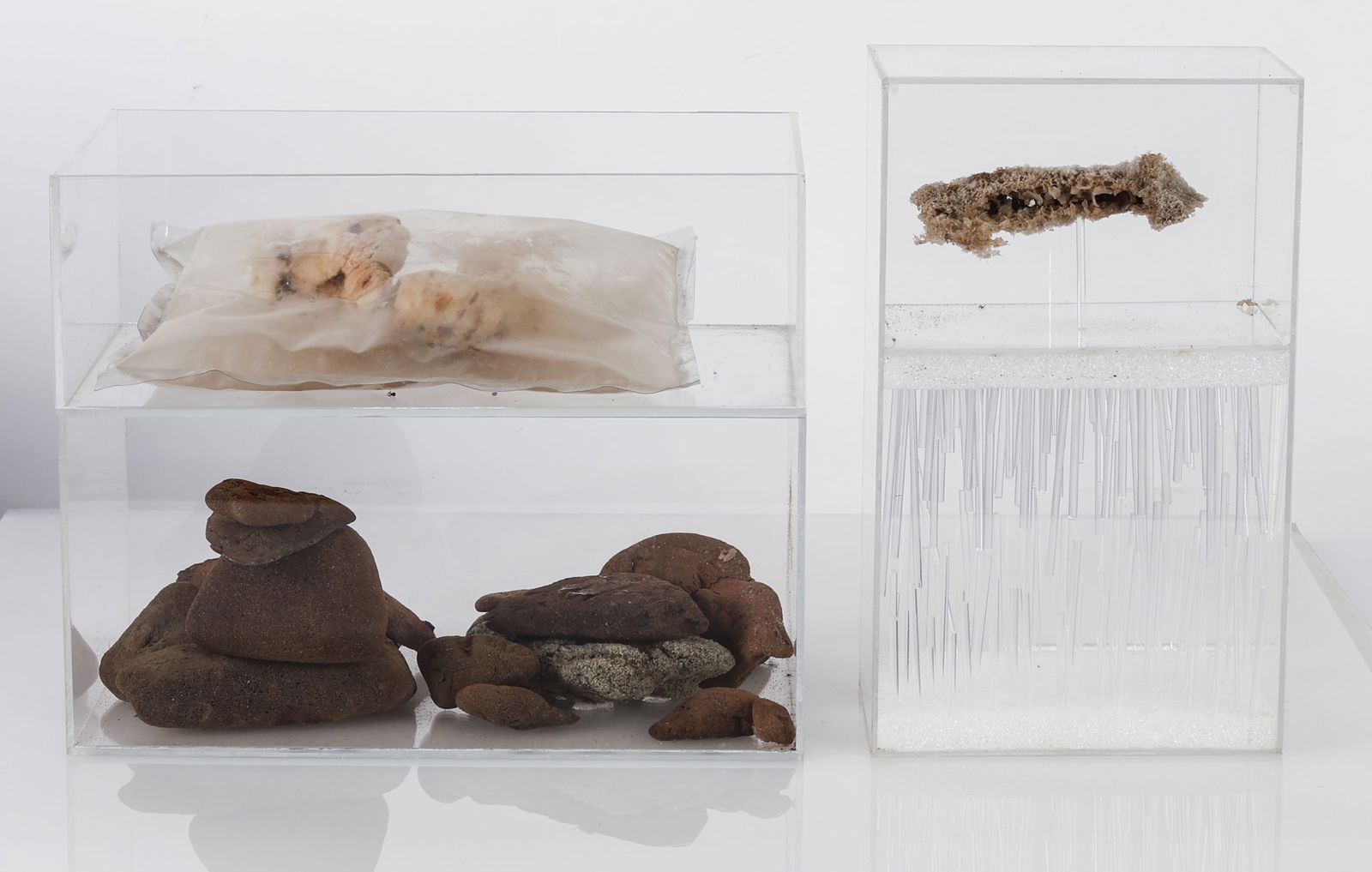 (2) Christine Howard (20th c.) Specimen Boxes: (2) Christine Howard (American, 20th c.) Specimen Boxes, 2006, Mixed media sculptures, found polystyrene, acrylic. Provenance: Lemmons Contemporary; Private New York City Estate. Ranging in size: 10.5