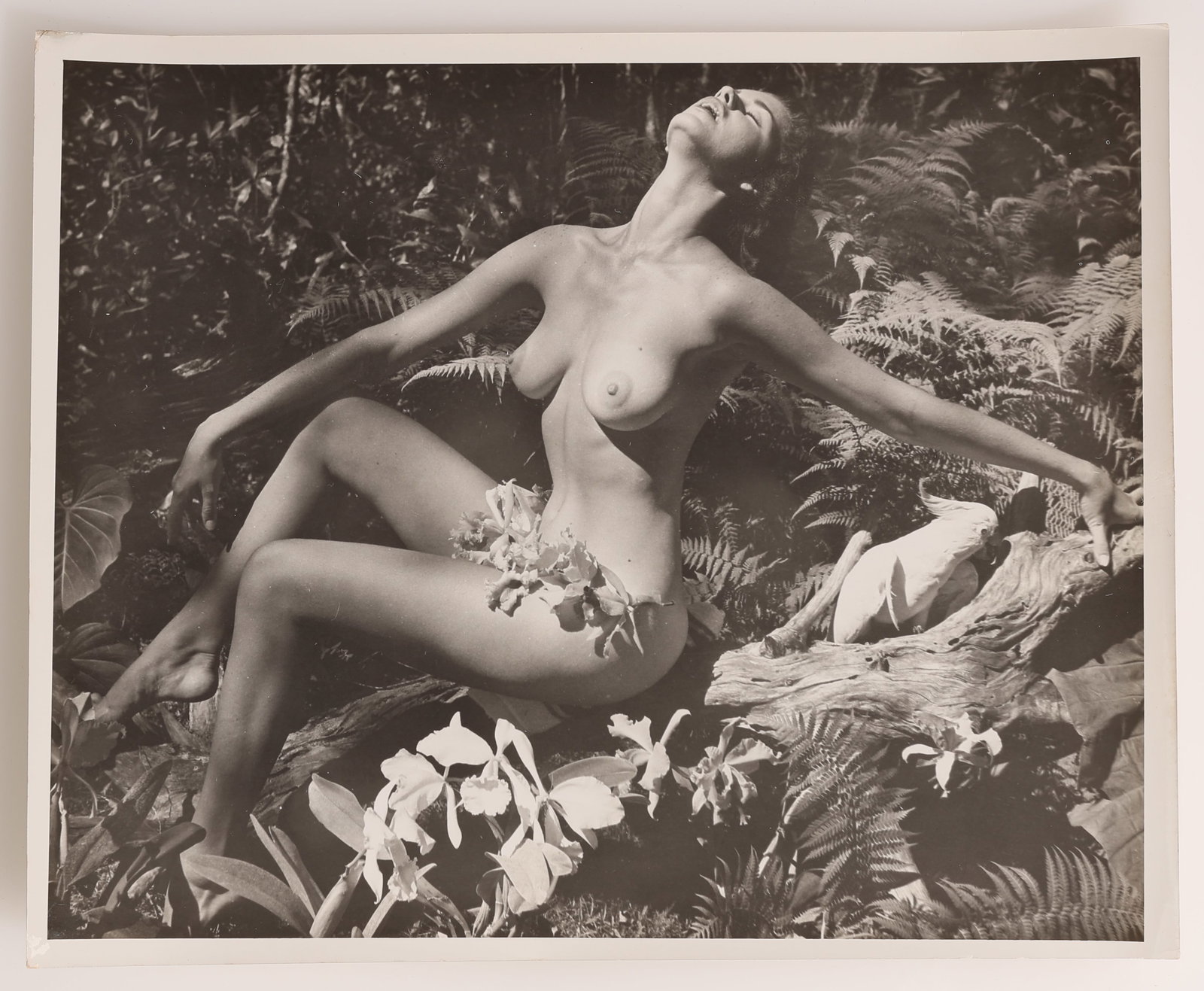 Bunny Yeager (1929-2014) Vintage Sublime Nude Photograph: Bunny Yeager (1929-2014) Vintage Sublime Nude Portrait of Joan Rawlings, c. 1950s, Silver Gelatin Photograph, signed. Size: 8'' x 10'' (20 x 25 cm). Unframed. Provenance: Grapefruit Moon Gallery. Bio: