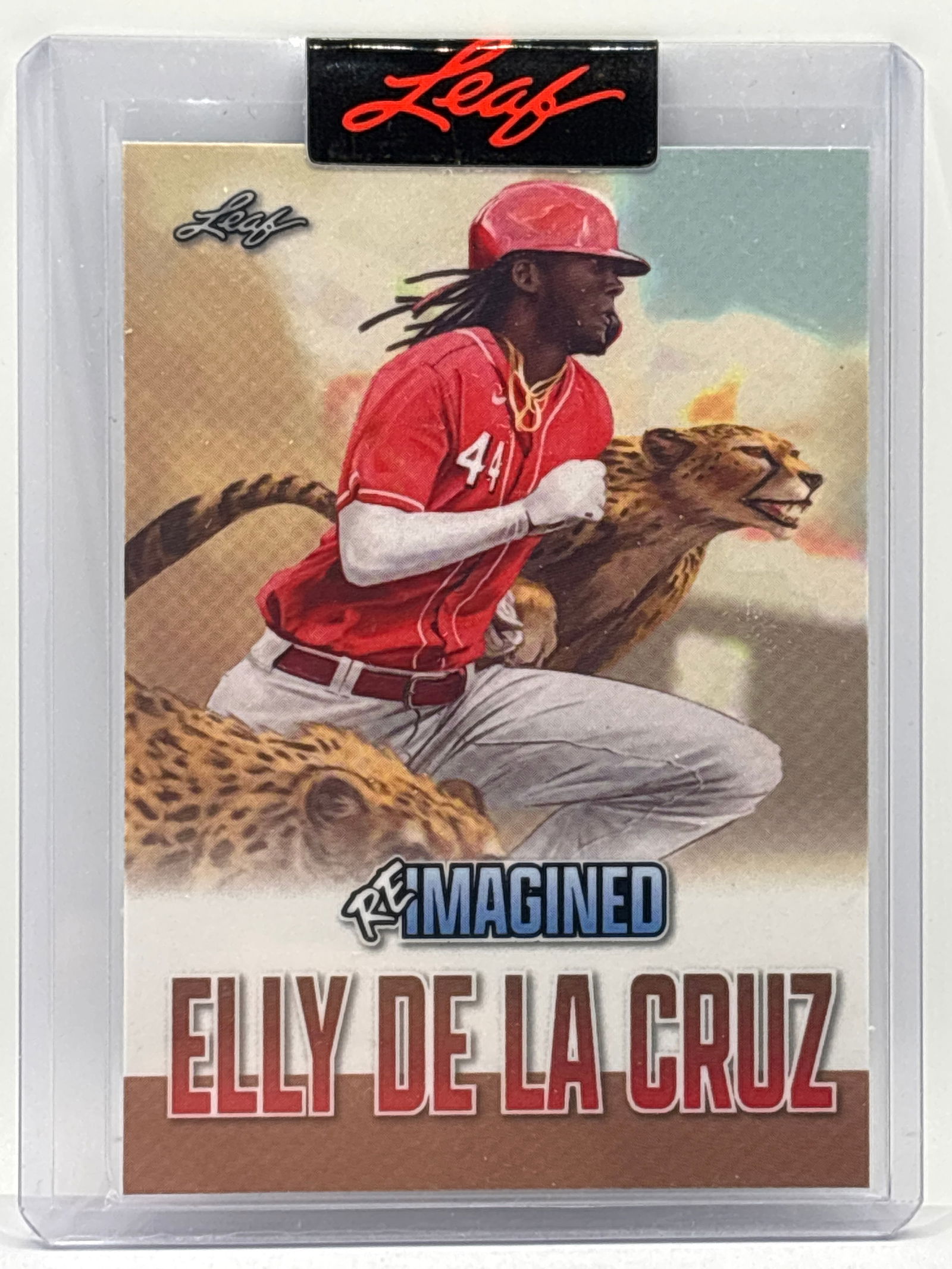 /884 2023 LEAF REIMAGINED ELLY DE LA CRUZ ROOKIE CARD: THE HOBBY BOX