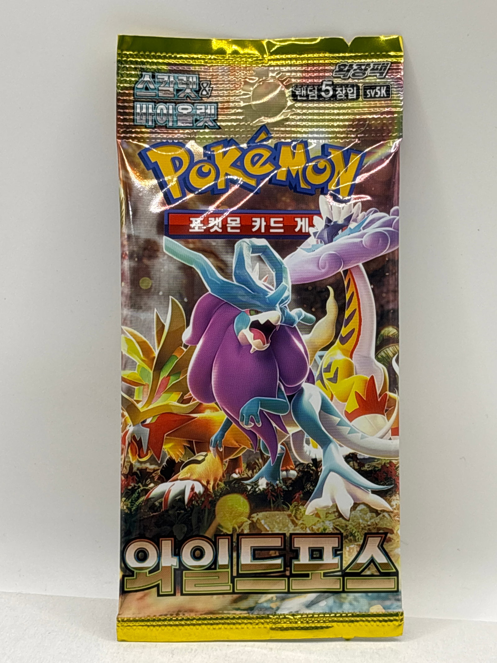 2024 POKÉMON KOREAN PACK: THE HOBBY BOX