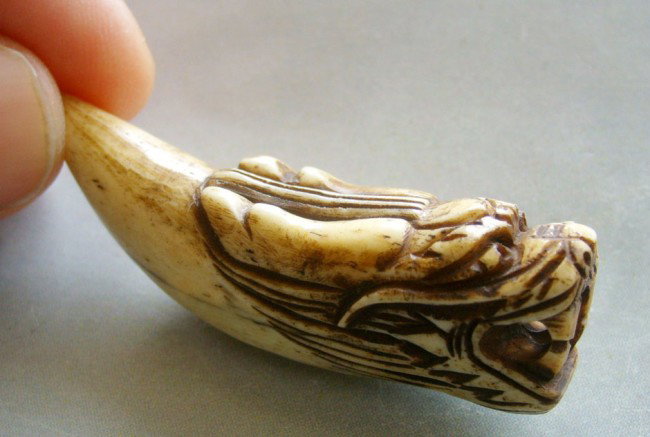 Carved Ox-Bone Dragon Head Tooth Shape Pendant: Ox-Bone Dragon Head Tooth Shape Pendant, Size: 50mm x 16mm x 10mm. This Ox bone is intricately carved with meticulous precision and grace.
