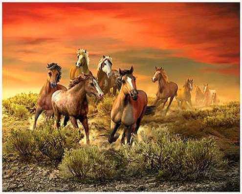 The Wild Bunch by Roberta Wesley: This High Quality open edition print made on archival high quality paper and hand signed by Roberta Wesley Comes in size:16" x 24"