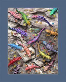 GECKO AMAZING COLOR LENTICULAR 3-D HOLOGRAM: This is a 3-D Lenticular Hologram Art picture of GECKOS by Royce. This picture can not capture the spectacular 3-D effect of these. It pops right out at you and there is so much depth. This piece was