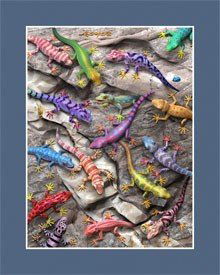 GECKO AMAZING COLOR LENTICULAR 3-D HOLOGRAM: This is a 3-D Lenticular Hologram Art picture of GECKOS by Royce. This picture can not capture the spectacular 3-D effect of these. It pops right out at you and there is so much depth. This piece was