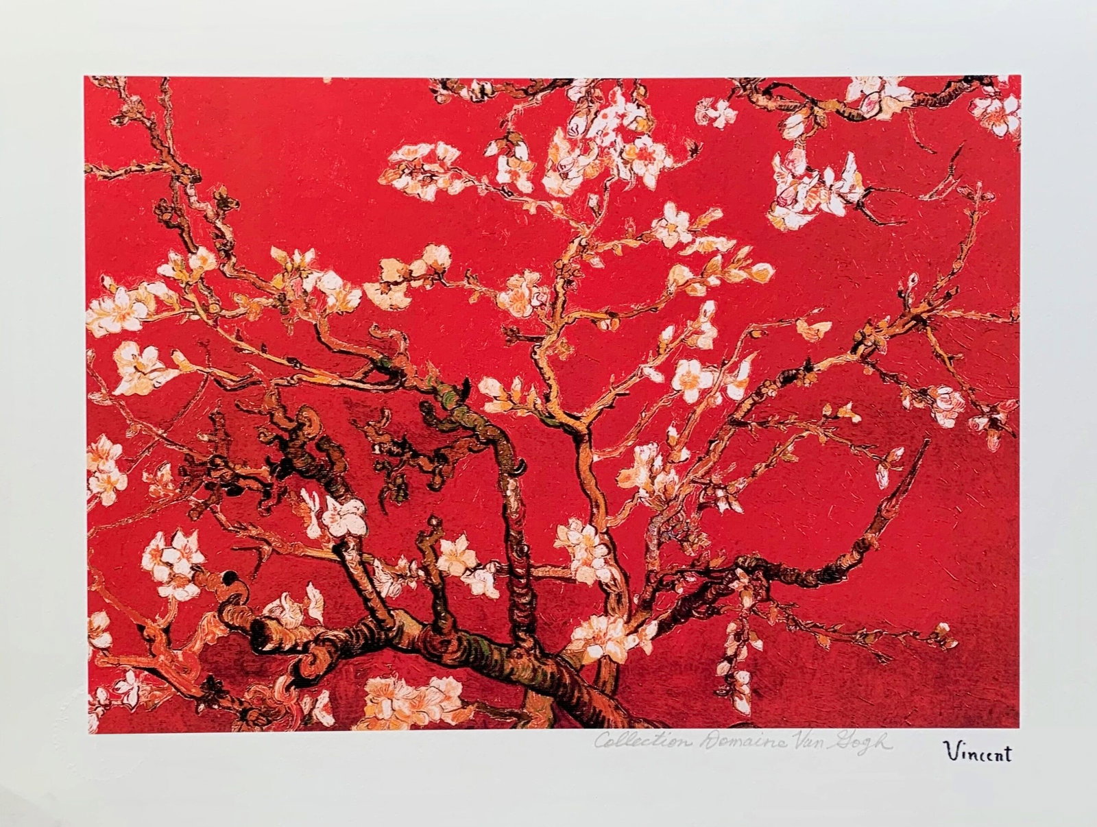 Vincent Van Gogh RED ALMOND BLOSSOMS Estate Signed Limited Edition Giclee: This is a VINCENT VAN GOGH (ESTATE COLLECTION DOMAINE) reproduction giclee titled ?ALMOND BLOSSOMS ? RED?.This piece is pencil signed on the lower right as ?Collection Domaine Van Gogh? and has an emb