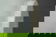 item-210236292=8